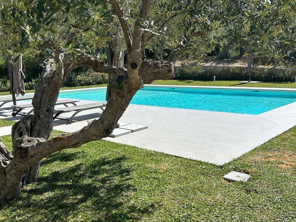 Civetta Blu Bed and Breakfast Castellammare del Golfo Εξωτερικό φωτογραφία