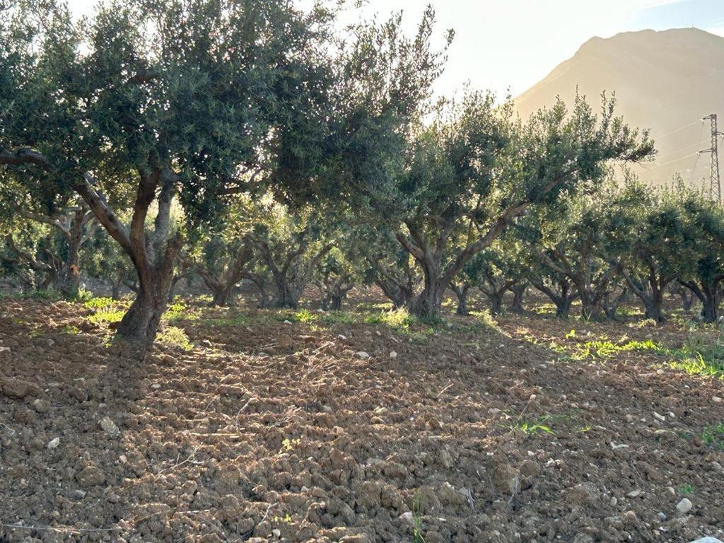 Civetta Blu Bed and Breakfast Castellammare del Golfo Εξωτερικό φωτογραφία